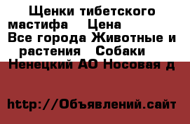 Щенки тибетского мастифа. › Цена ­ 30 000 - Все города Животные и растения » Собаки   . Ненецкий АО,Носовая д.